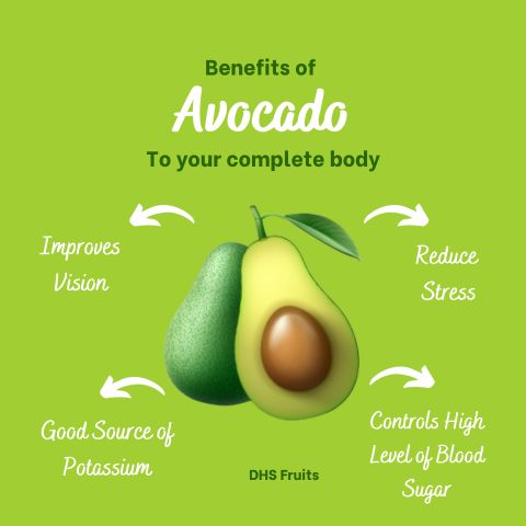 Avocado